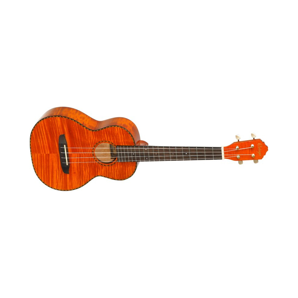 elektroakustické ukulele,ORTEGA RUE12FMH,1