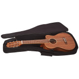 akustické ukulele,LANIKAI ACST-CEG,7