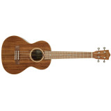 akustické ukulele,LANIKAI ACS-T,1