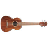 akustické ukulele,LANIKAI ACST-T,1