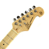 elektrická kytara,SX Standard TL ASH Natural,4