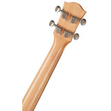 elektroakustické ukulele,CASCHA HH 2048E Tenor Mahogany Ukulele Set EQ,6