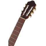 klasická elektroakustická kytara,WALDEN WAN550E,5
