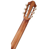 klasická elektroakustická kytara,WALDEN WAN550E,6